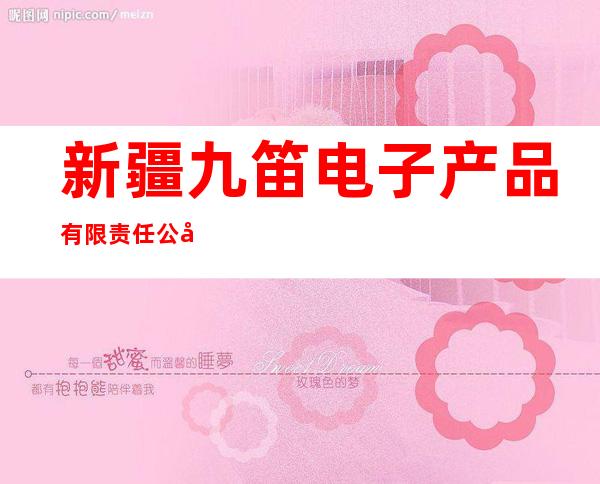 新疆九笛电子产品有限责任公司