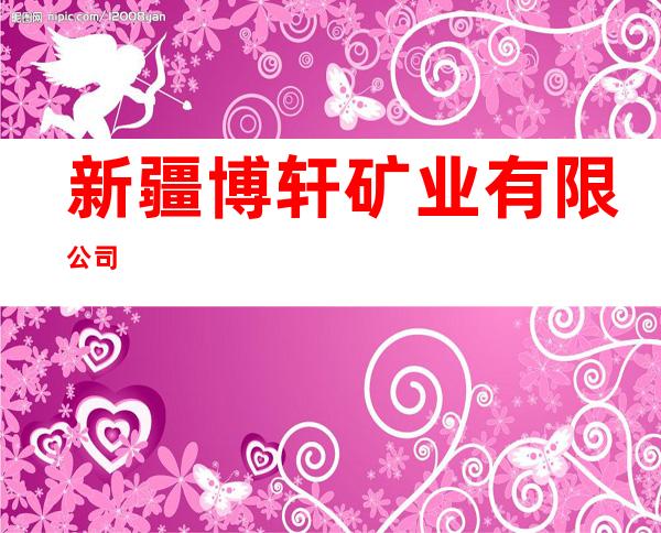 新疆博轩矿业有限公司
