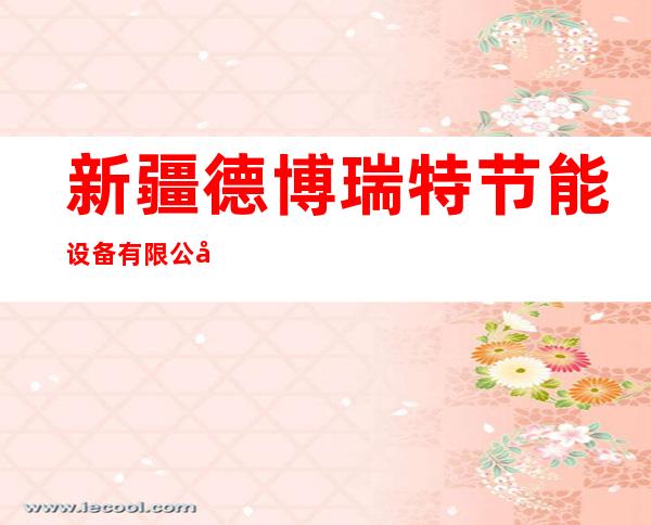 新疆德博瑞特节能设备有限公司