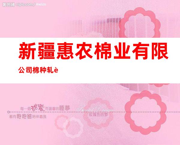 新疆惠农棉业有限公司棉种轧花厂