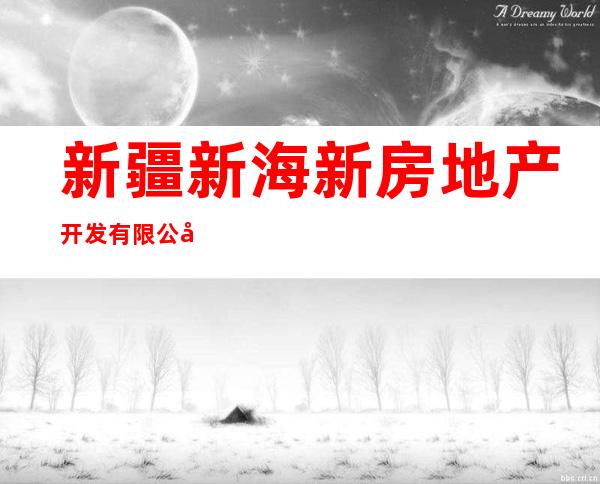 新疆新海新房地产开发有限公司