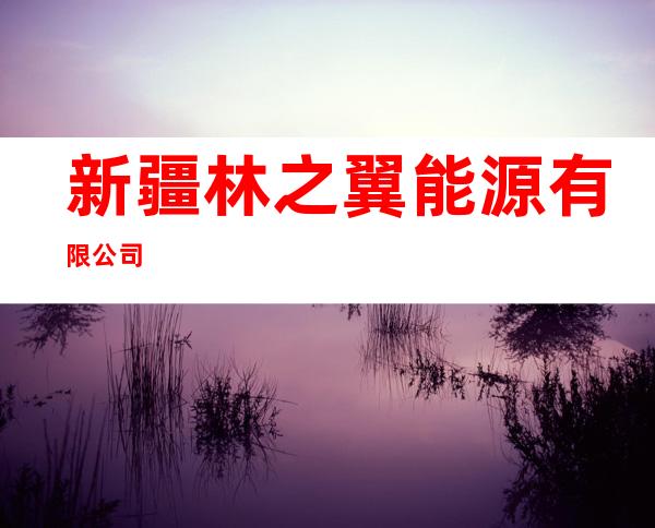 新疆林之翼能源有限公司