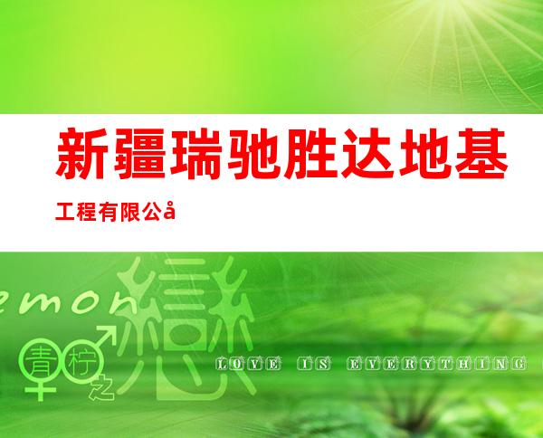 新疆瑞驰胜达地基工程有限公司