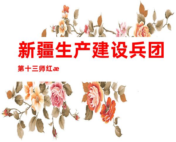 新疆生产建设兵团第十三师红星一场城镇开发投资有限公司