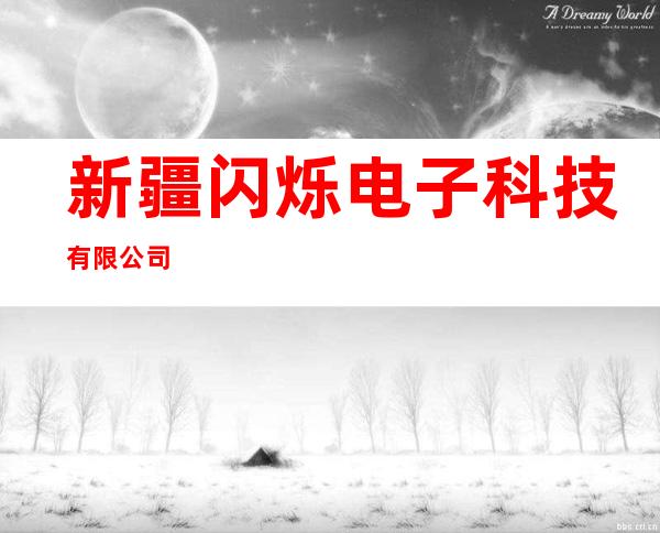 新疆闪烁电子科技有限公司