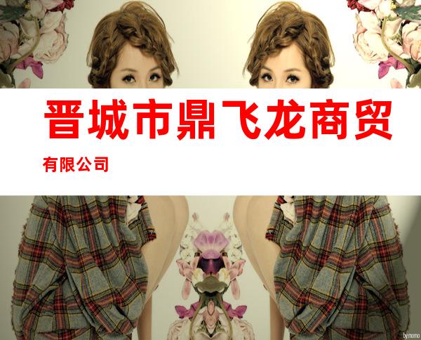 晋城市鼎飞龙商贸有限公司