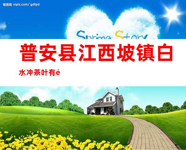 普安县江西坡镇白水冲茶叶有限公司