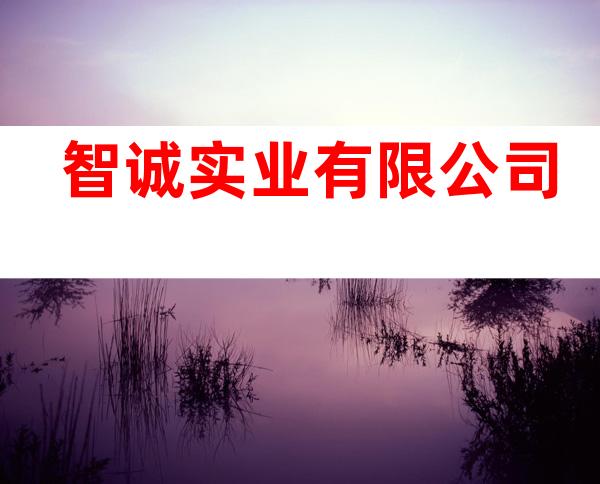 智诚实业有限公司