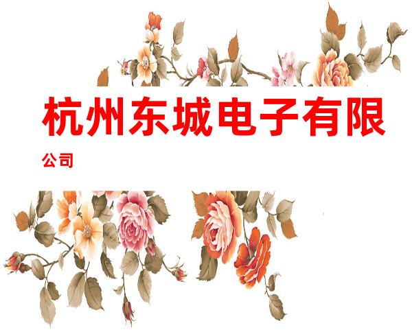 杭州东城电子有限公司