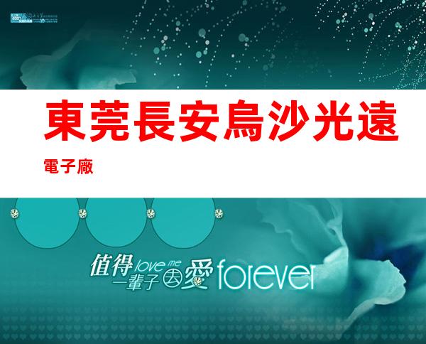 東莞長安烏沙光遠電子廠