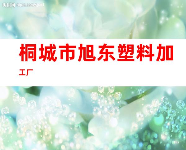 桐城市旭东塑料加工厂