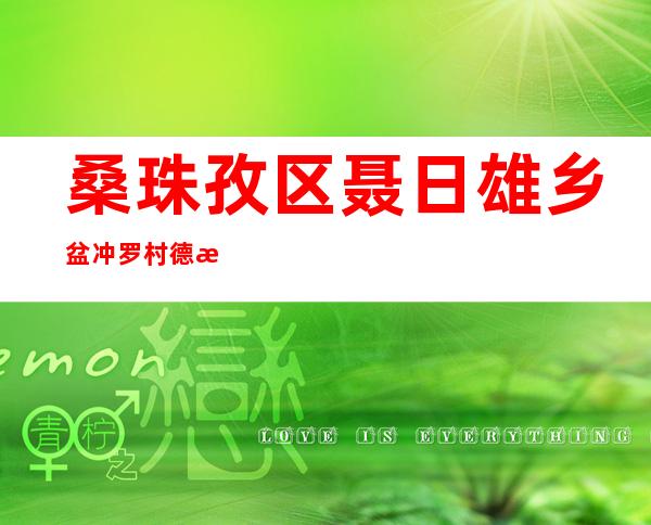 桑珠孜区聂日雄乡盆冲罗村德桑建筑队