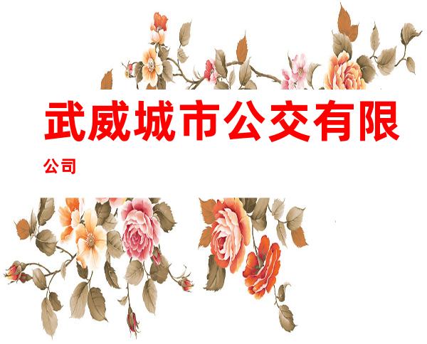 武威城市公交有限公司