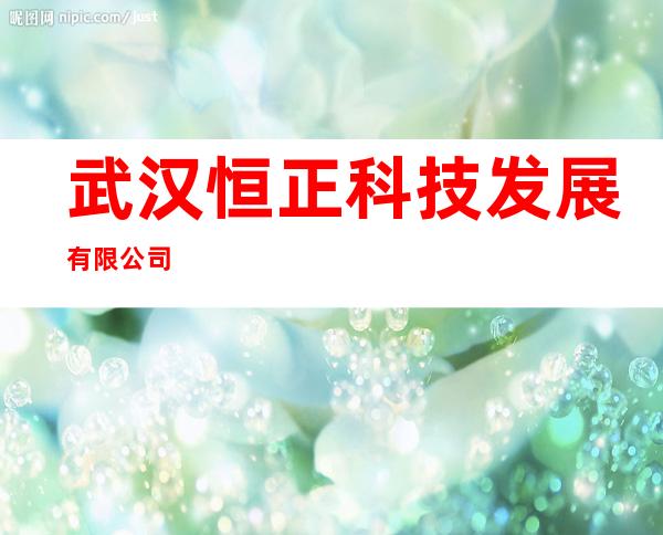 武汉恒正科技发展有限公司