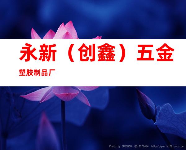 永新（创鑫）五金塑胶制品厂