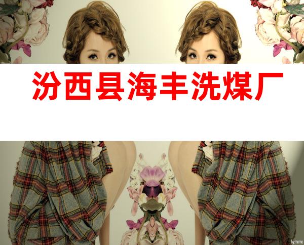 汾西县海丰洗煤厂