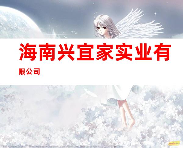 海南兴宜家实业有限公司