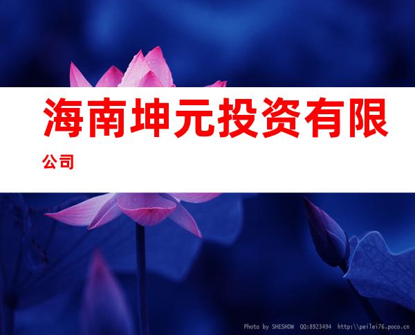 海南坤元投资有限公司