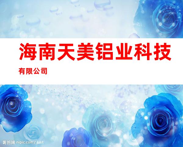 海南天美铝业科技有限公司