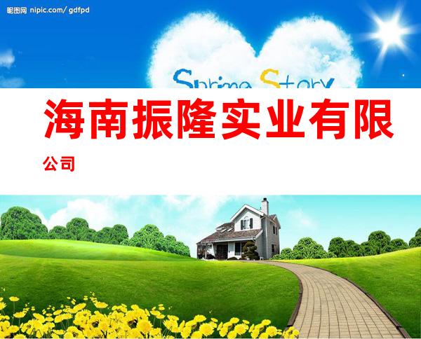 海南振隆实业有限公司