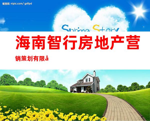 海南智行房地产营销策划有限公司