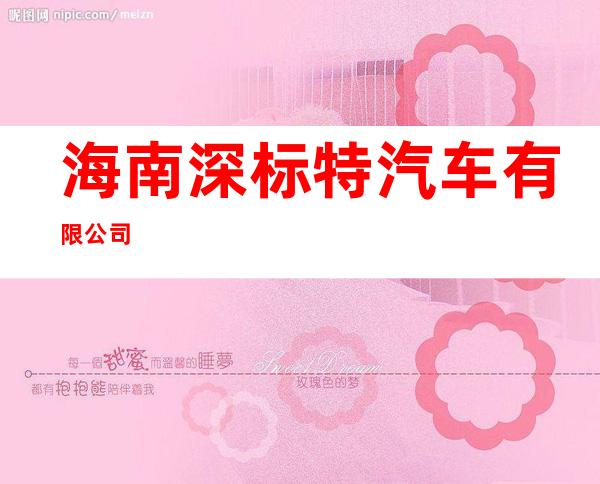 海南深标特汽车有限公司