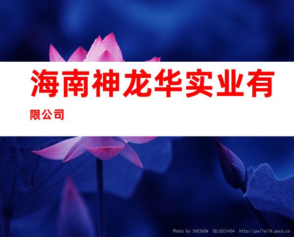 海南神龙华实业有限公司