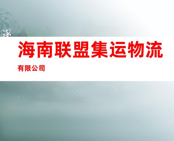 海南联盟集运物流有限公司