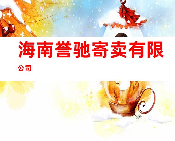 海南誉驰寄卖有限公司