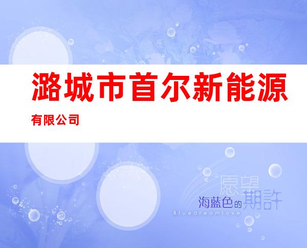 潞城市首尔新能源有限公司
