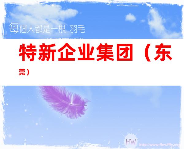 特新企业集团（东莞）