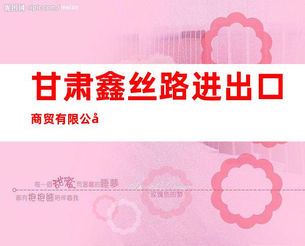 甘肃鑫丝路进出口商贸有限公司