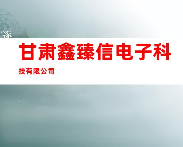甘肃鑫臻信电子科技有限公司