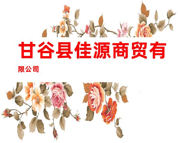 甘谷县佳源商贸有限公司