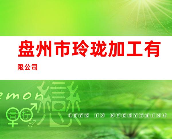 盘州市玲珑加工有限公司
