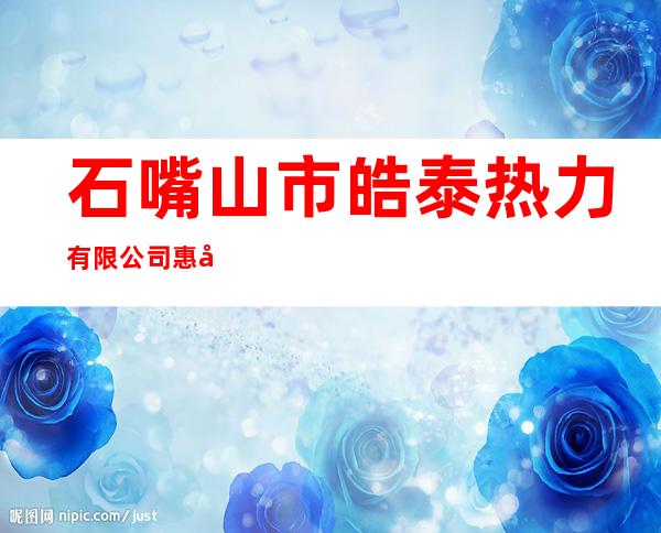 石嘴山市皓泰热力有限公司惠农分公司
