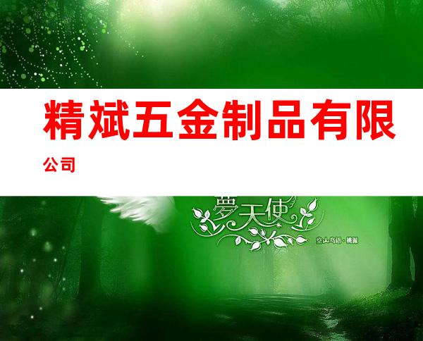 精斌五金制品有限公司