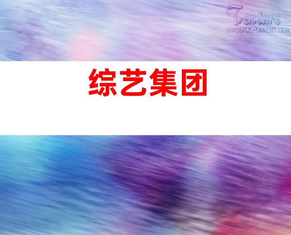 综艺集团