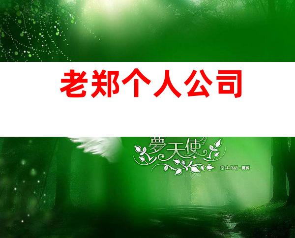 老郑个人公司