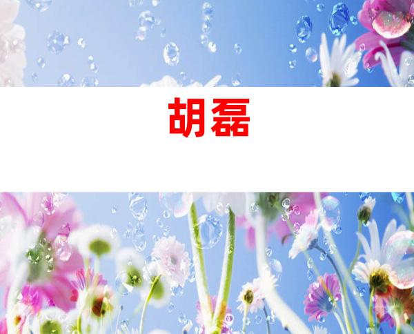 胡磊 