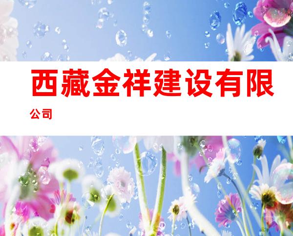 西藏金祥建设有限公司
