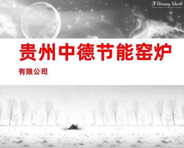贵州中德节能窑炉有限公司