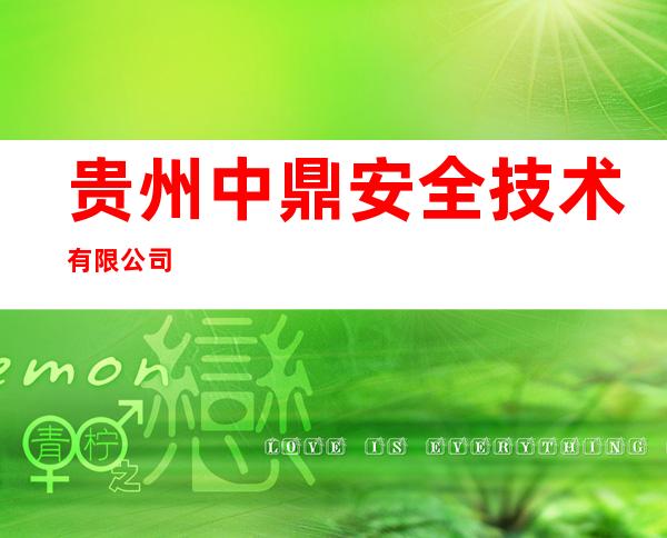 贵州中鼎安全技术有限公司