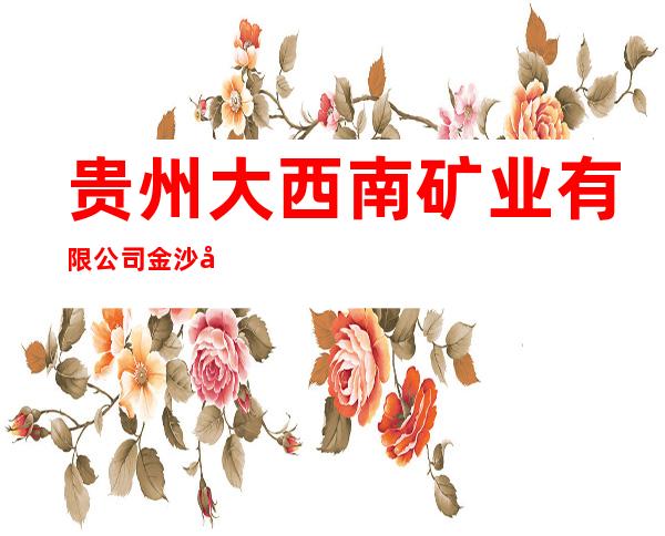贵州大西南矿业有限公司金沙县长坝乡长兴煤矿