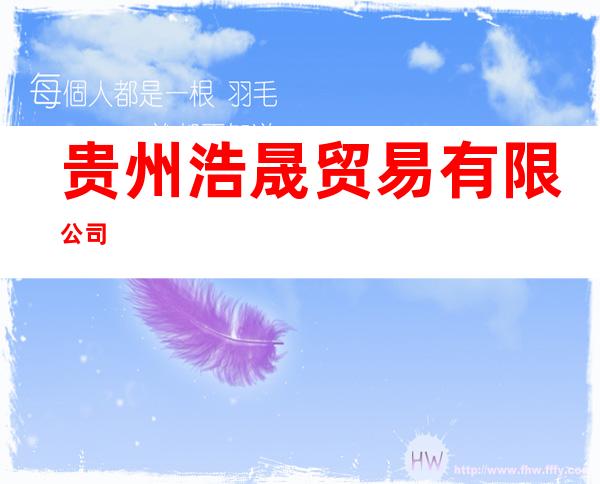 贵州浩晟贸易有限公司