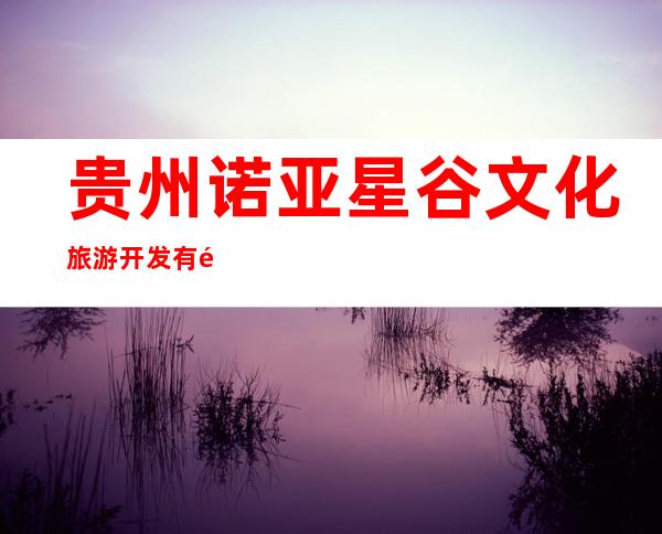 贵州诺亚星谷文化旅游开发有限公司