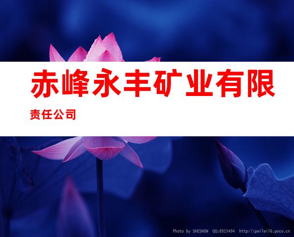赤峰永丰矿业有限责任公司