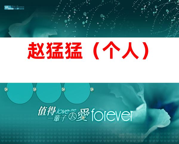 赵猛猛（个人）