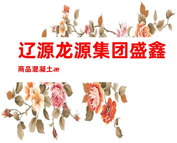 辽源龙源集团盛鑫商品混凝土有限公司