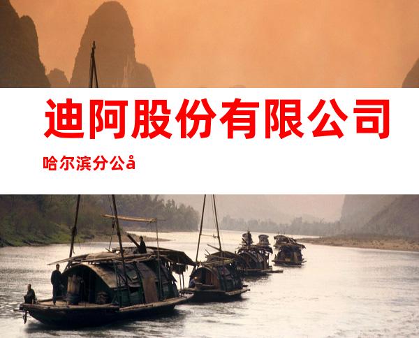 迪阿股份有限公司哈尔滨分公司
